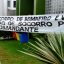 corpo